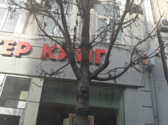 Красота на Большой Садовой убивает там последние деревья, - эксперт