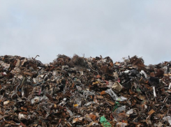 В Ростове осудили бизнесмена из Новочеркасска за фейковую уборку свалок 