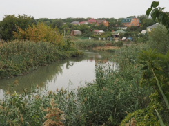 Экопарк «Темерник» будут охранять ростовские дружинники