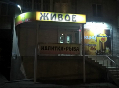 «Фантомас» с ножом «забаррикадировал» продавщицу и ограбил кассу пивного магазина в Ростове