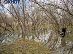 Голубев допустил новые подтопления территорий в Ростовской области