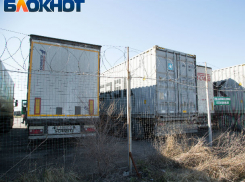 Из-за ошибки в документах цирк с животными застрял на ростовской таможне 