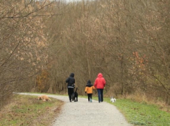 Легким потеплением порадует жителей Ростова первый день рабочей недели