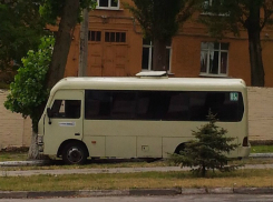 «Кара небесная» в образе дерева настигла невнимательного маршрутчика в Ростове