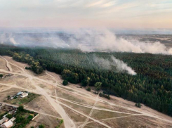Жителей Ростова и области предупредили о высокой пожароопасности