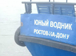 Катер порвал сети возмущенных «селедочных» браконьеров в Ростовской области