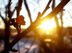 Солнечную и очень теплую погоду обещают синоптики жителям Ростова в эту среду