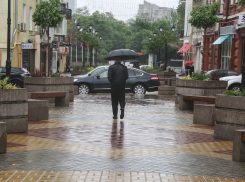 Неделя в Ростове-на-Дону начнется с дождей