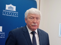 В Ростовской области предложили ускорить переход техники на газомоторное топливо