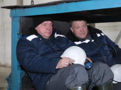 Золото Голубевых: какими бизнесами владеет семья ростовского губернатора