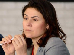 Советник Голубева сочла вопрос журналиста об аресте Сидаша угрозой для иностранных инвестиций в регион