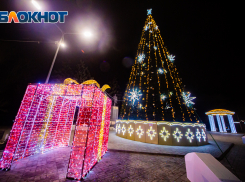 В Ростове откроют главную городскую елку 27 декабря 