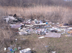 Строительство развлекательного комплекса убило «райское место» Ростова и возмутило горожан