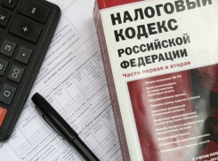 Жители Ростовской области скрыли от налоговой 4,6 млрд рублей