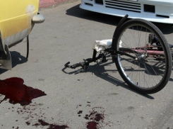 Фура с прицепом раздавила ехавшего по обочине велосипедиста под Ростовом