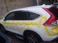 В Ростове неизвестные разрисовали 50 машин