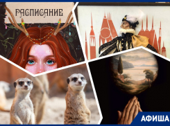 Изучаем «Руки», обращаемся с психологом и гуляем по магическому лесу: куда пойти в Ростове на этой неделе