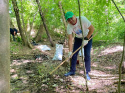 В Ростове день эколога отметили фестивалем и субботником