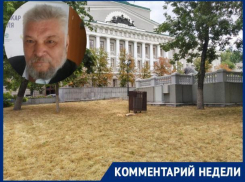 «Полмиллиарда для Ростова – это туфта, пыль в глаза»: эксперт раскритиковал сумму, выделяемую мэрией на озеленение города