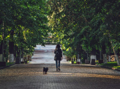 В четверг в Ростове будет прохладно и подует сильный ветер