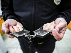 Преступники, ограбившие в новогоднюю ночь пенсионеров, задержаны в Ростовской области