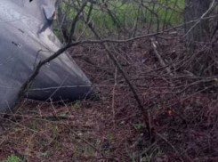 В лесополосе под Ростовом обнаружены огромные обломки БПЛА
