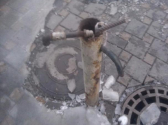 Воду для питья ростовчанам предложили брать из луж