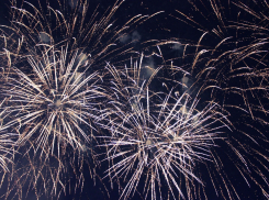 Власти Ростовской области решили провести два крупных мероприятия без размаха