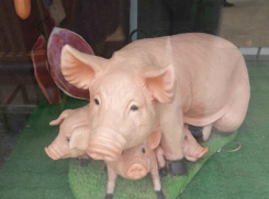 Жителей Ростовской области начал «косить» свиной грипп