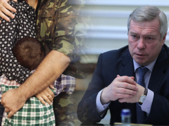Василий Голубев поручил организовать опеку над семьями мобилизованных