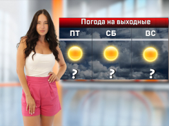 В Ростовской области на выходных ожидается 42-градусная жара