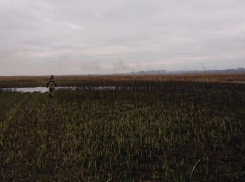 Спасатели потушили крупный пожар на левом берегу Дона