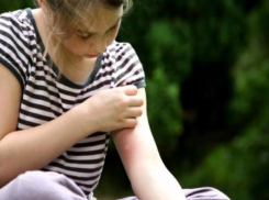 Жителей Ростова предупредили о трех самых опасных тропических эпидемиях