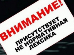 Подписан закон о запрете мата в СМИ, кино и на концертах