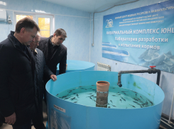 В Ростовской области обсудили перспективы рыбоводства в бассейне Азовского моря