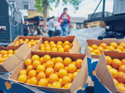 С иностранными мандаринами в Ростовскую область поступают опасные вредители
