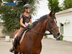 Ростовский ипподром признают памятником культурного наследия