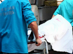 Следователь полиции погибла в лобовом ДТП с КамАЗом в Ростовской области