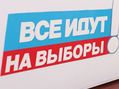 Сразу шесть кандидатов в Заксобрание Ростовской области в прошлом имели проблемы с законом