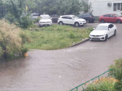 Квест «дойди на работу»: ростовский потоп попал на видео