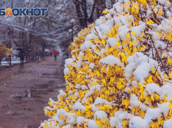В Ростове-на-Дону будет дождливо и пасмурно 