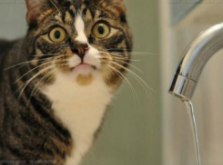 Засушливая пятница без капли воды ждет жителей центральной части Ростова