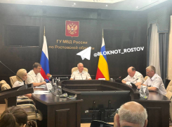 На Дону будут платить за доносы на преступников 