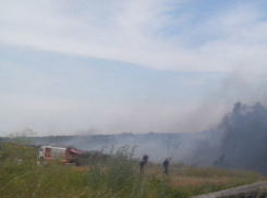 Пустырь с сухой травой неожиданно вспыхнул в Ростове