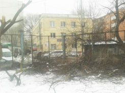 Ужасную свалку возле колледжа искусств в Ростове ликвидировали