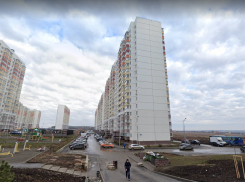 В Ростове полицейские убили мужчину, который зарезал собаку и кидался на жену