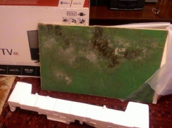 Вместо телевизора жителю Ростовской области продали кусок заплесневелого ДСП
