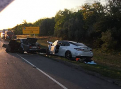 Водитель и пассажир погибли в ДТП на трассе в Ростовской области