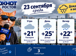 Дождливо и пасмурно в среду 23 сентября в Ростове