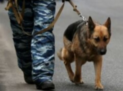 Бесхозная сумка с вещами сильно напугала веселившихся в кафе Ростова горожан